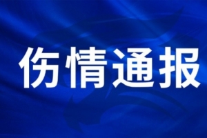 世界杯次要直播_免费高清观看_首发阵容_战术解读