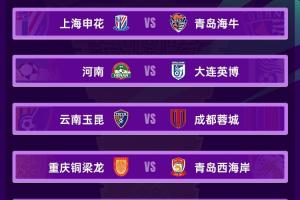 今晚足协杯1/8vs：玉昆vs蓉城 兰州vs陕西“西北德比” 泰山战三镇直播_免费高清无插件观看