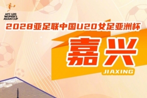丹麦vs阿根廷_在线直播_免费高清观看_进球集锦