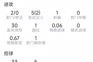 最新澳西甲尼兰西澳大利亚大学vs科克本市直播_无插件免费在线观看