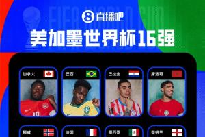 法国VS瑞典直播_免费高清观看_首发阵容_战术解读