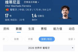 独行侠VS篮网直播_无插件在线免费观看