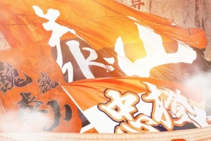 天津津门虎VS深圳新鹏城_免费视频直播_高清无插件观看