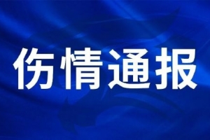 WNBA明尼苏达山猫VS达拉斯飞翼_在线直播_免费高清观看_进球集锦