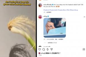 免费观看尼克斯vs太阳直播_无插件在线免费观看
