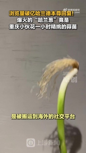 第二轮VS选秀大会_免费直播入口_全场录像回放