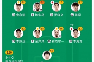 海牛安杰尔科维奇、金洋洋、金永浩均累计4黄，下轮战河南将停赛-1q